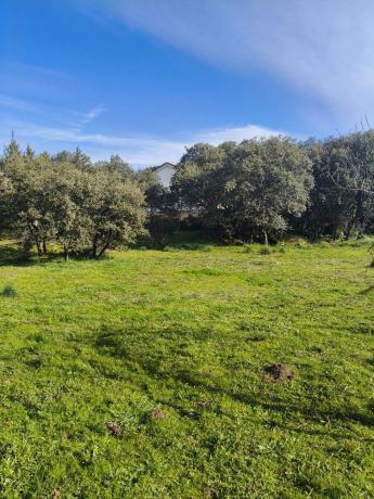 Terreno en calle de los Nogales