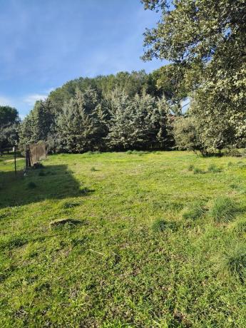 Terreno en calle de los Nogales