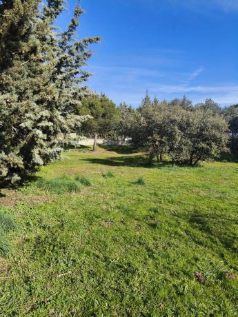 Terreno en calle de los Nogales