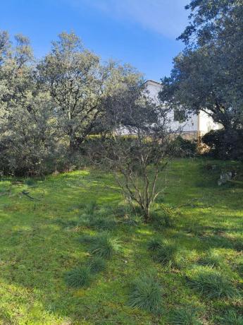 Terreno en calle de los Nogales