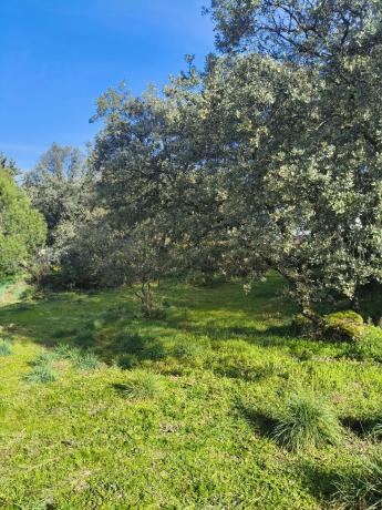 Terreno en calle de los Nogales