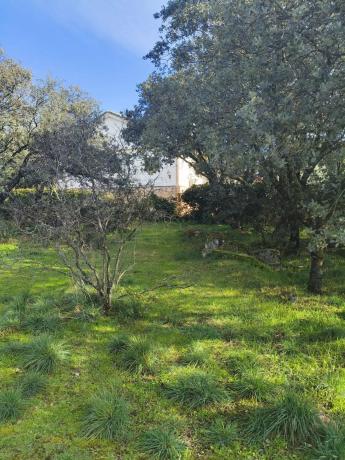 Terreno en calle de los Nogales