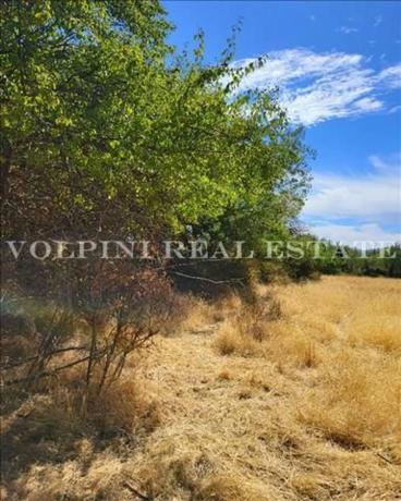 Terreno en paseo de San sebastian