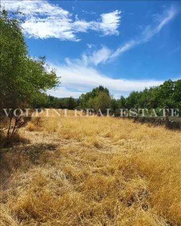 Terreno en paseo de San sebastian