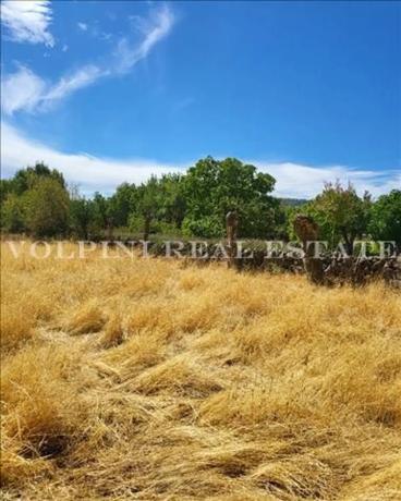 Terreno en paseo de San sebastian