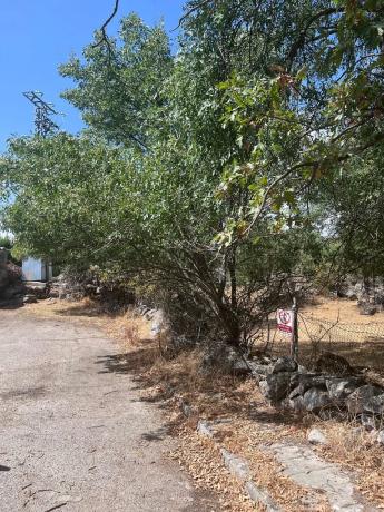Terreno en calle de Tenerife s/n