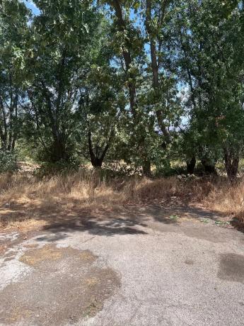 Terreno en calle de Tenerife s/n