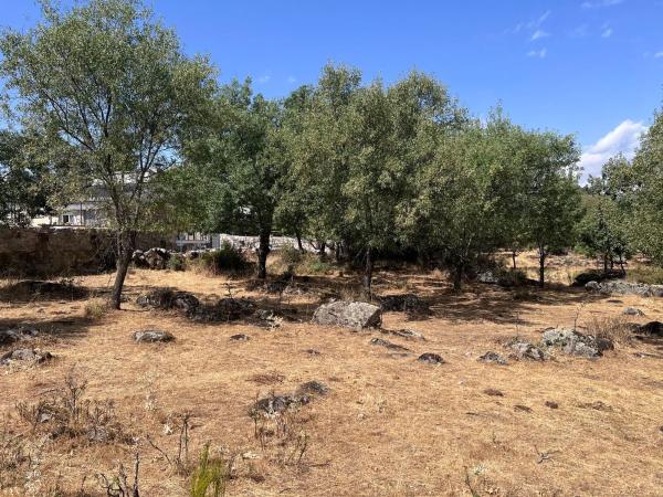 Terreno en calle de Tenerife s/n