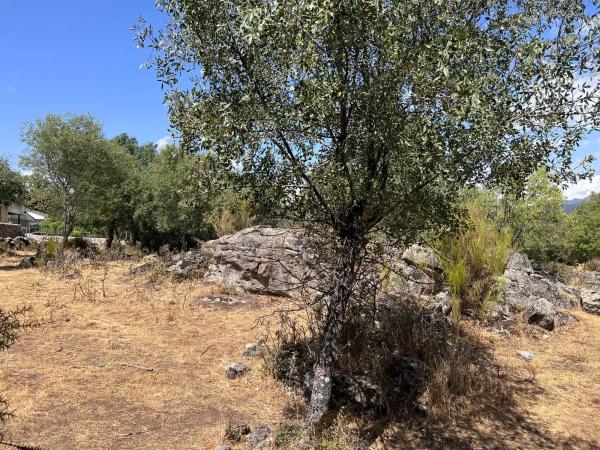 Terreno en calle de Tenerife s/n