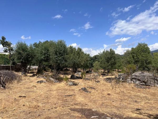 Terreno en calle de Tenerife s/n