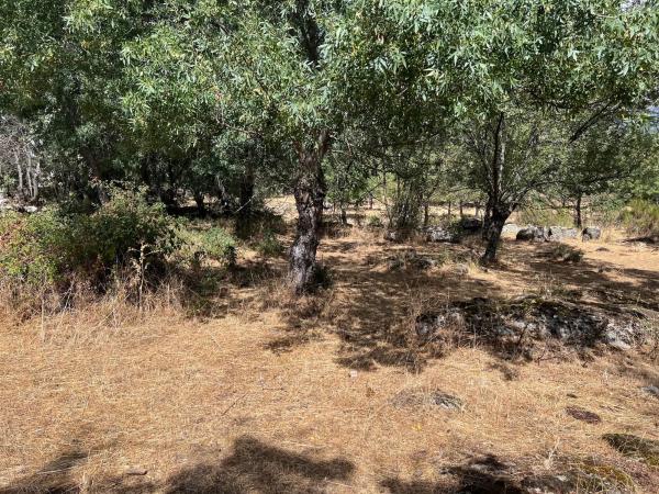 Terreno en calle de Tenerife s/n