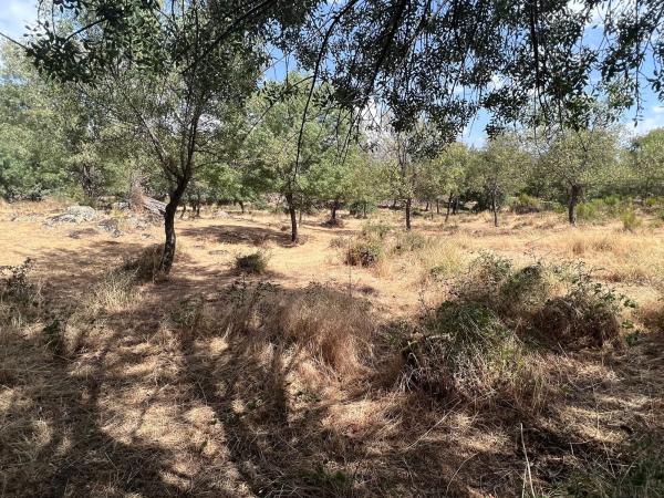 Terreno en calle de Tenerife s/n