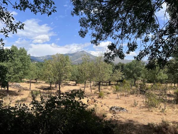 Terreno en calle de Tenerife s/n