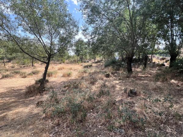 Terreno en calle de Tenerife s/n