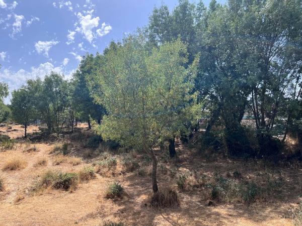 Terreno en calle de Tenerife s/n