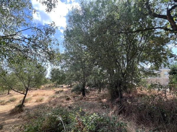 Terreno en calle de Tenerife s/n