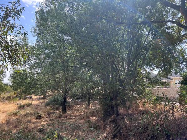 Terreno en calle de Tenerife s/n