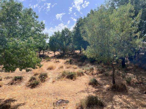 Terreno en calle de Tenerife s/n