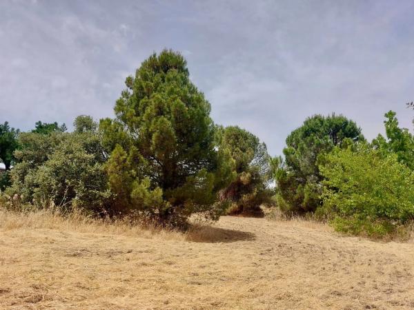 Terreno en calle Playa de Castro Urdiales