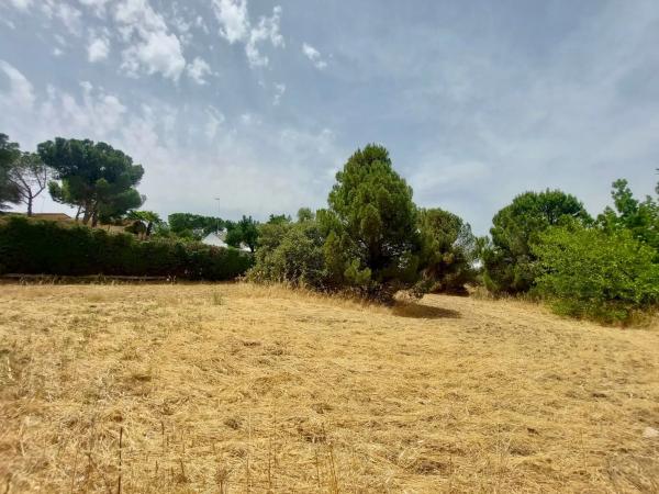 Terreno en calle Playa de Castro Urdiales