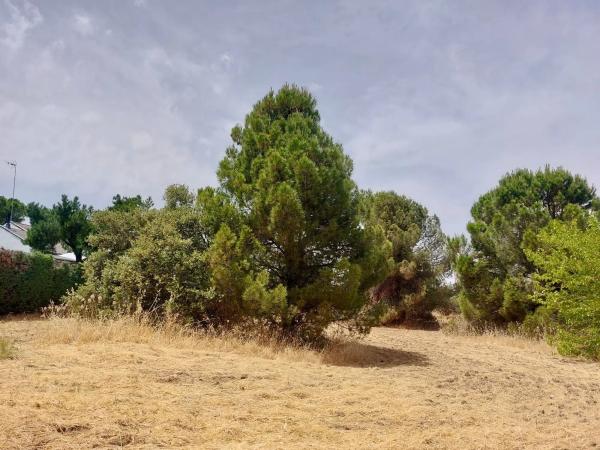 Terreno en calle Playa de Castro Urdiales