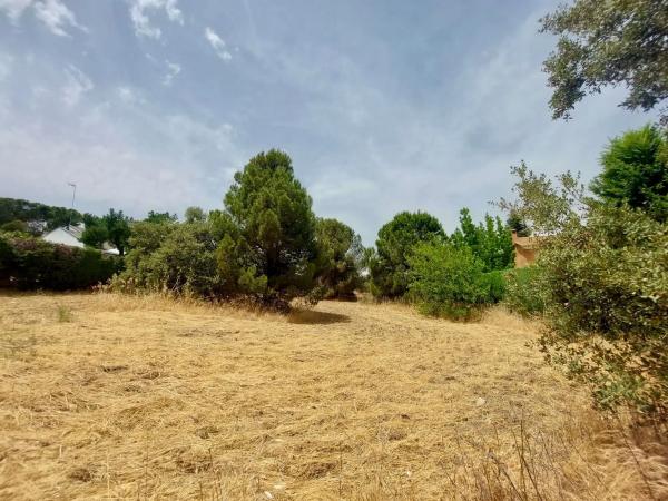 Terreno en calle Playa de Castro Urdiales