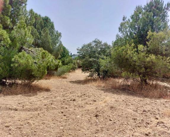 Terreno en calle Playa de Castro Urdiales