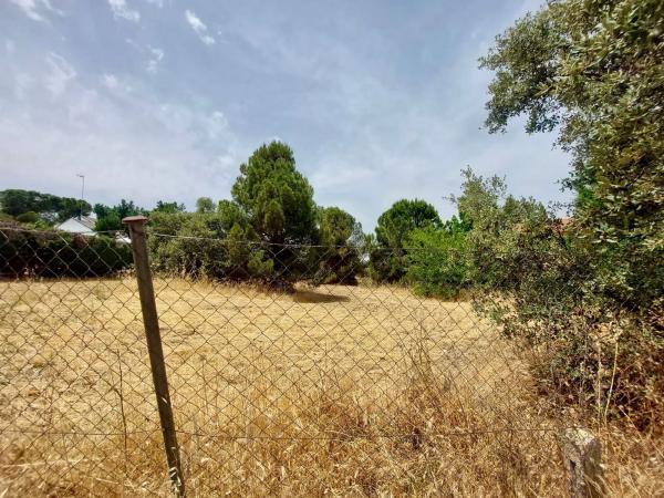 Terreno en calle Playa de Castro Urdiales