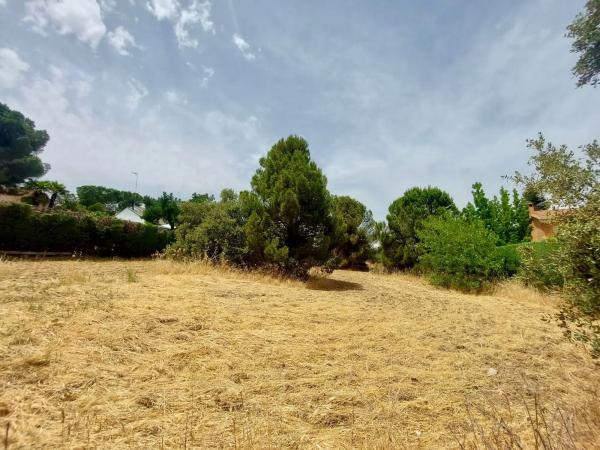 Terreno en calle Playa de Castro Urdiales