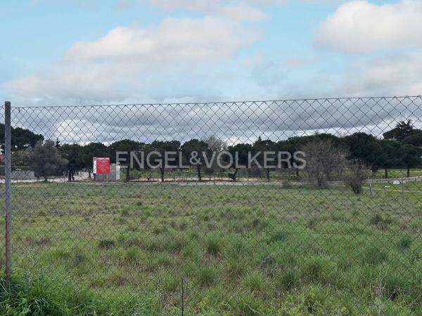 Terreno en El Olivar de Mirabal