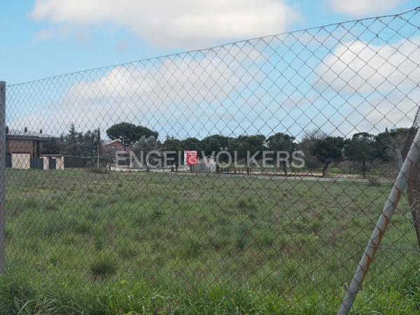 Terreno en El Olivar de Mirabal