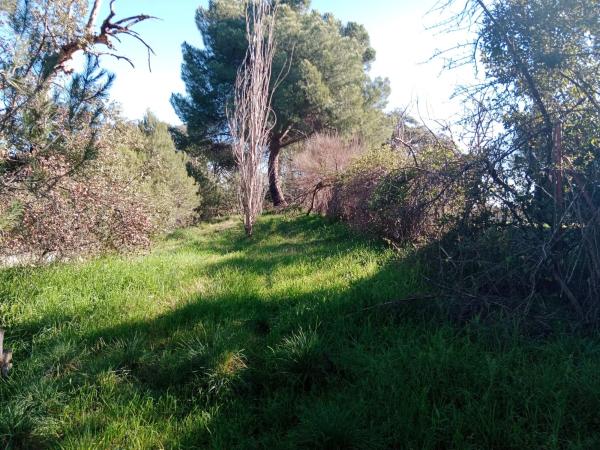 Terreno en Valdepastores - Las Encinas