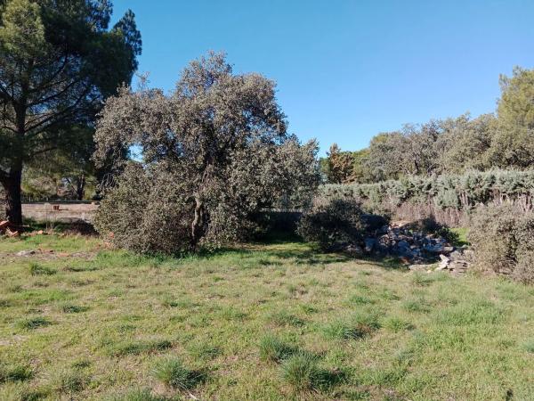 Terreno en Valdepastores - Las Encinas