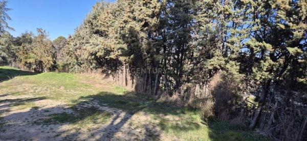 Terreno en calle Río Segura, 11