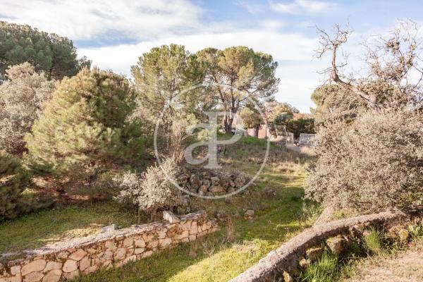 Terreno en Valdepastores - Las Encinas