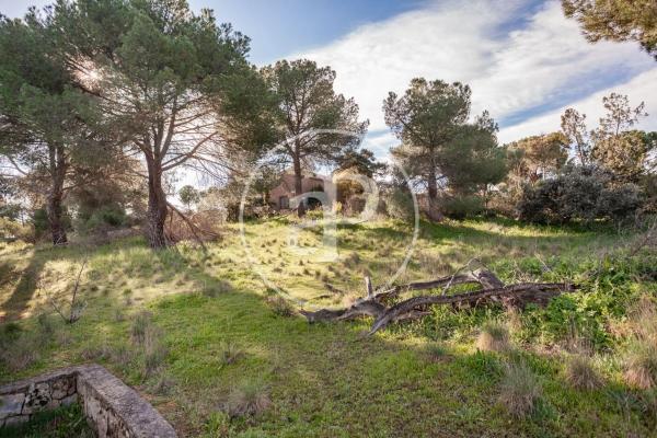 Terreno en Valdepastores - Las Encinas