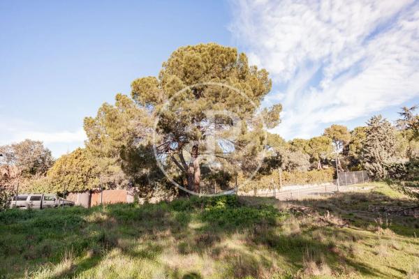 Terreno en Valdepastores - Las Encinas