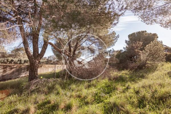 Terreno en Valdepastores - Las Encinas