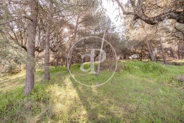 Terreno en Valdepastores - Las Encinas