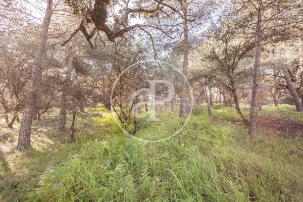 Terreno en Valdepastores - Las Encinas