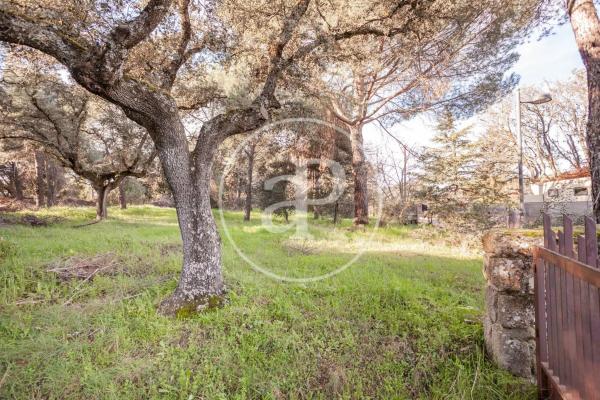 Terreno en Valdepastores - Las Encinas