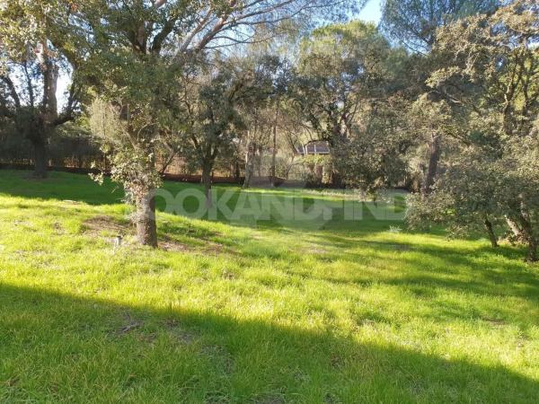 Terreno en Valdepastores - Las Encinas