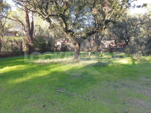 Terreno en Valdepastores - Las Encinas