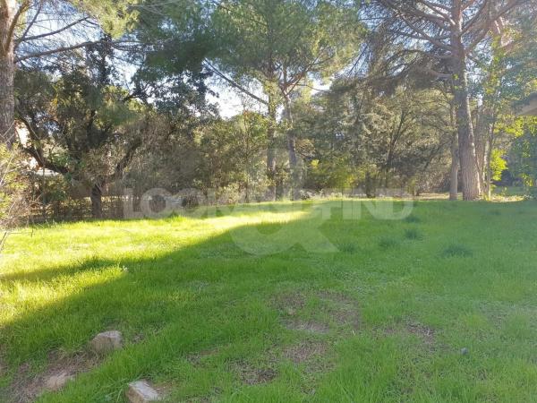 Terreno en Valdepastores - Las Encinas