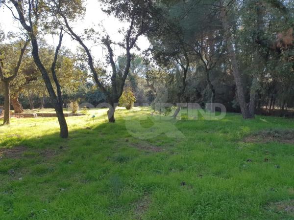Terreno en Valdepastores - Las Encinas