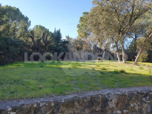 Terreno en Valdepastores - Las Encinas