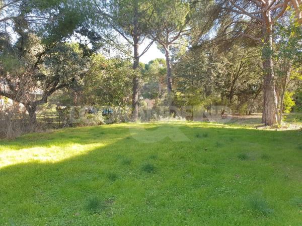 Terreno en Valdepastores - Las Encinas