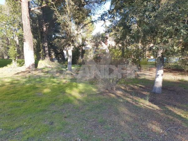 Terreno en Valdepastores - Las Encinas