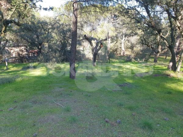 Terreno en Valdepastores - Las Encinas