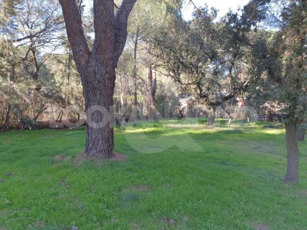Terreno en Valdepastores - Las Encinas